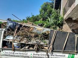 Best Dumpster Rental Services  in Auburn, NE
