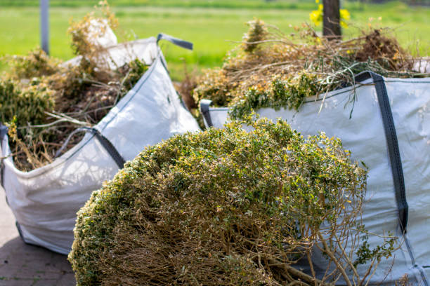 Best Same-Day Junk Removal Services  in Auburn, NE
